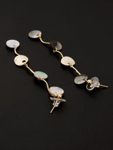 Load image into Gallery viewer, Long Drop Earrings
